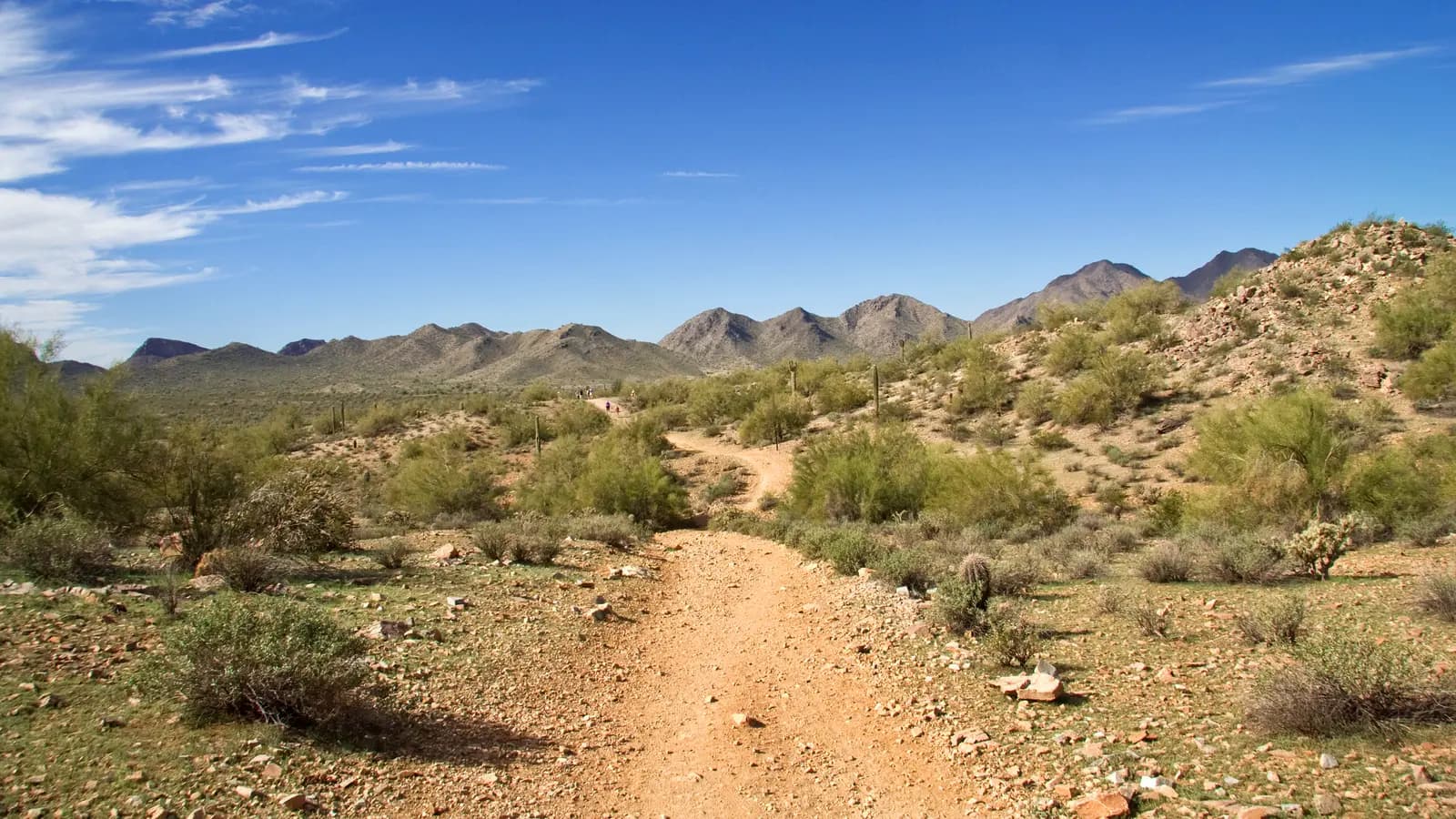 Hiking trail in San Tan Mountain Regional Park toward the San Tan Mountains near San Tan Valley, Arizona